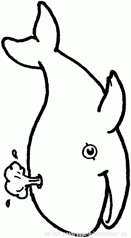 Baleine Dessin Simple ~ News Word tout Coloriage Baleine Licorne