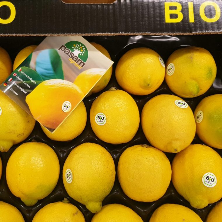 Bio Zitronen Gelegt – Frisches Früchtchen tout Zitrone Obst Oder Gemüse