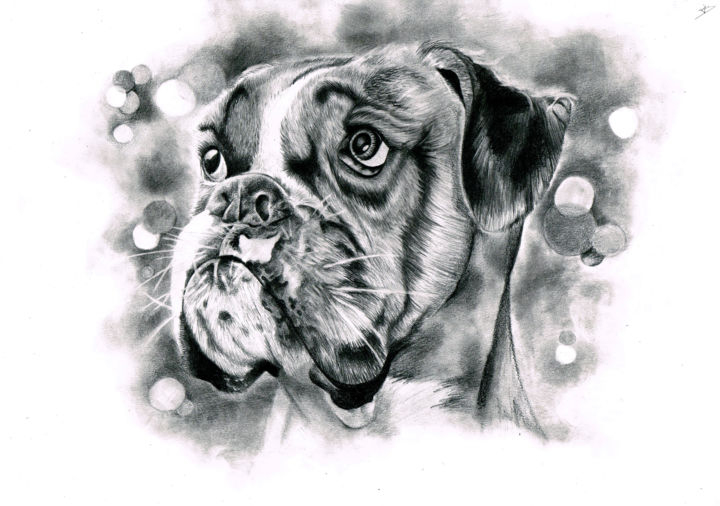 Boxer Chien, Dessin Par Mandine Créarts | Artmajeur concernant Tete De Chien Dessin