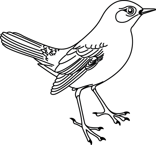 Coloriage À Imprimer : Un Oiseau – Turbulus, Jeux Pour Enfants intérieur Oiseau À Colorier