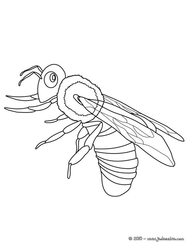 Coloriage Abeille Simple Dessin Gratuit À Imprimer avec Abeille Dessin Facile