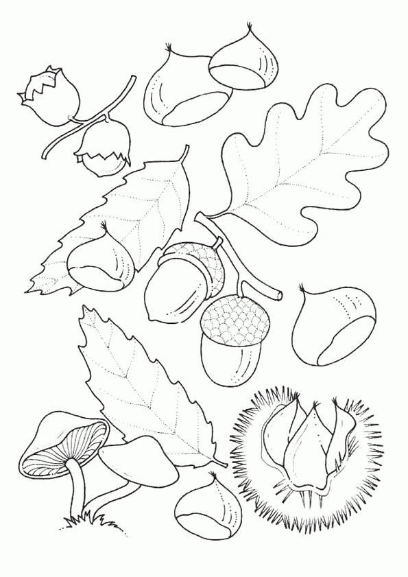 Coloriage Automne La Saison Des Fruits pour Coloriage Feuille D'Automne