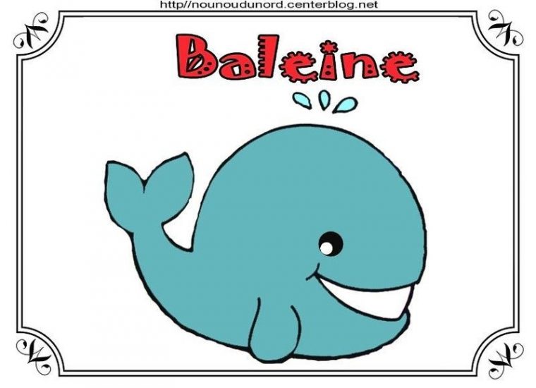 Coloriage Baleine avec Dessin De Baleine Facile