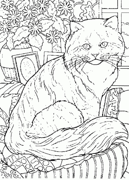 Coloriage Chat Adulte À Imprimer pour Coloriage Chaton À Imprimer