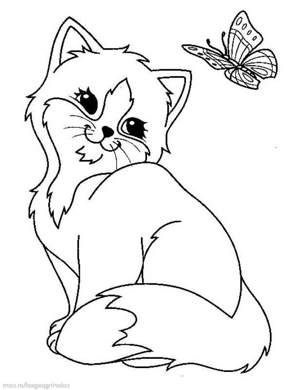 Coloriage Chats Gratuit À Imprimer | Animal Coloring Pages à Coloriage Chiot Et Chaton