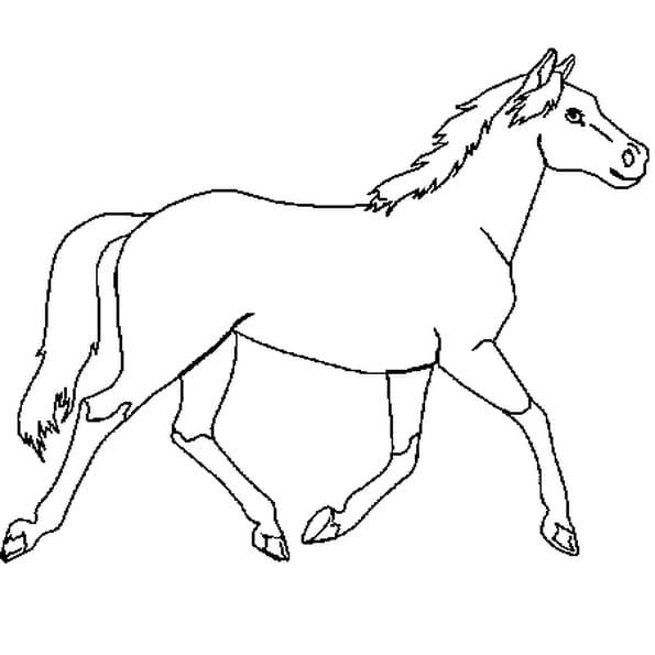 Coloriage Cheval En Ligne Gratuit À Imprimer serapportantà Coloriage De Cheval A Imprimer