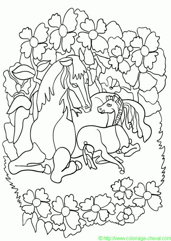 Coloriage Cheval Gratuit 14489 – Animaux | Coloriage tout Coloriage Grand Galop