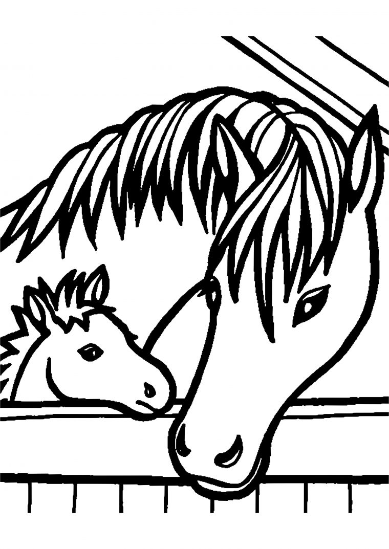 Coloriage Cheval Hugo L Escargot Superbe Idées Animaux concernant Coloriage De Cheval A Imprimer