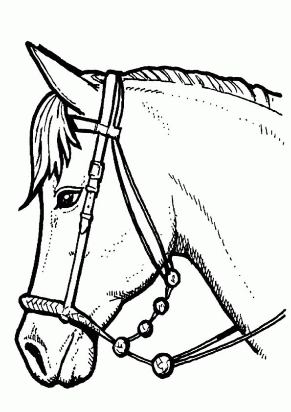 Coloriage Cheval Portrait Sur Hugolescargot destiné Coloriage De Cheval A Imprimer