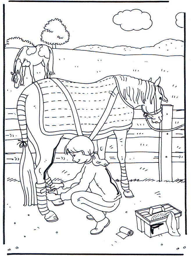 Coloriage Cheval Pour Fille Dessin Gratuit À Imprimer pour Coloriage De Cheval Qui Saute Un Obstacle À Imprimer