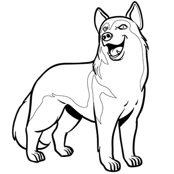 Coloriage Chien Husky En Ligne Gratuit À Imprimer destiné Dessin Chien Assis Facile