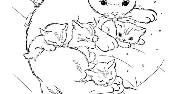 Coloriage De Chatons Élégant Image Coloriage A Imprimer avec Coloriage Chaton À Imprimer