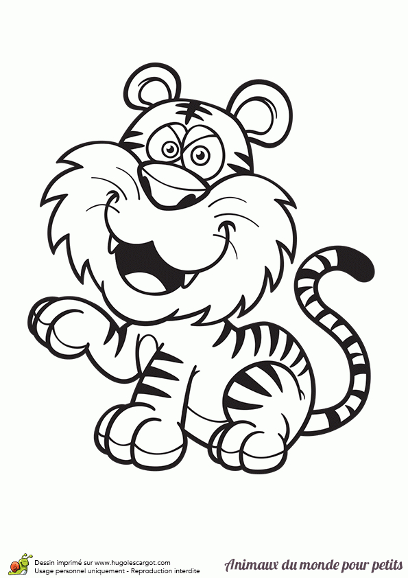 Coloriage D'Un Tigre à Dessiner Tigre Facile