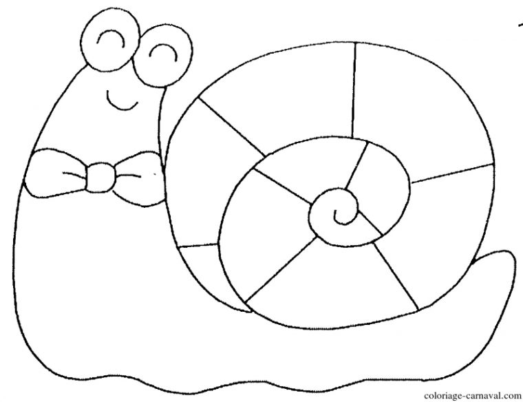 Coloriage Escargot Avec Un Noeud Papillon Dessin Gratuit serapportantà Coloriage Noeud Papillon