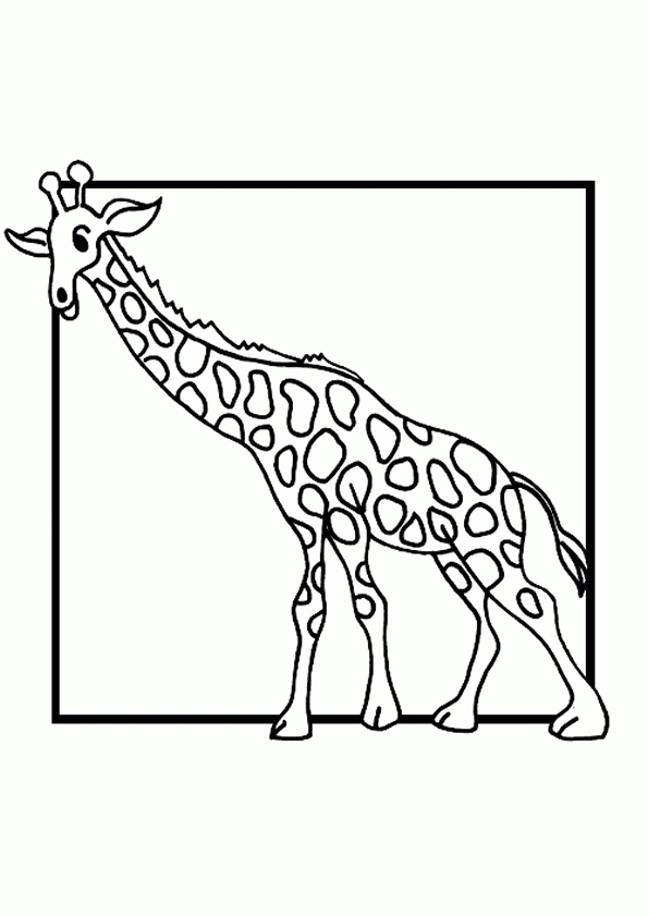 Coloriage Girafe 6 Sur Hugolescargot intérieur Girafe Dessin Facile