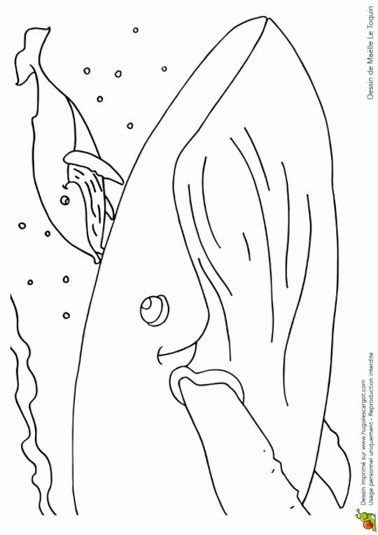 Coloriage Gros Bisou Maman Baleine | Coloriage Fête Des dedans Coloriage Chaton Et Sa Maman