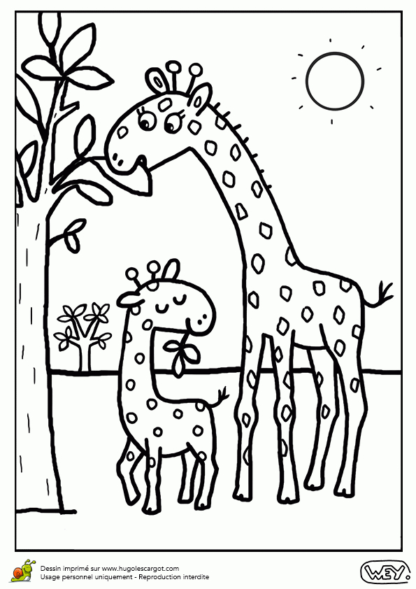 Coloriage Maman Girafe Et Bébé Girafon dedans Dessin Facile De Girafe