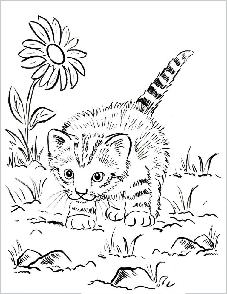 Coloriage Mandala Bebe Chat – Coloriage Tigre Mandala dedans Coloriage Chiot Et Chaton