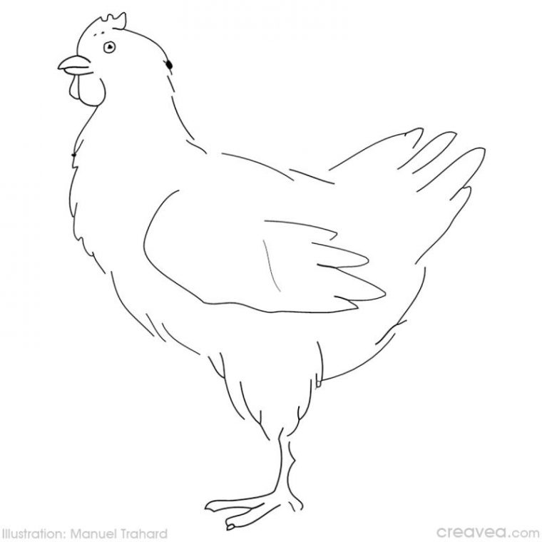 Coloriage Pâques – Idées Et Conseils Coloriage tout Dessin De Poule Facile