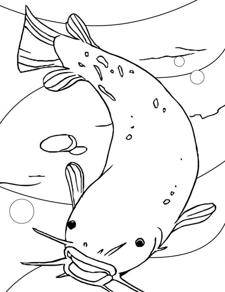 Coloriage Poisson Arc En Ciel Cool Image Coloriage Poisson dedans Coloriage Poisson Arc En Ciel