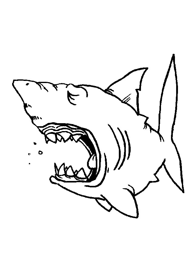 Coloriage Requin Paresseux Dessin Gratuit À Imprimer pour Dessin De Requin Facile