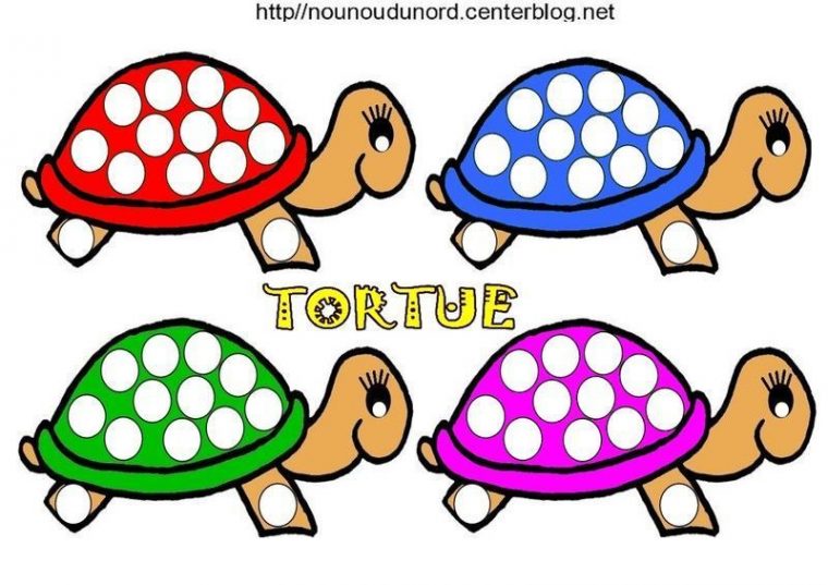 Coloriage Tortue Et Pour Gommettes pour Dessin Evoli En Couleur