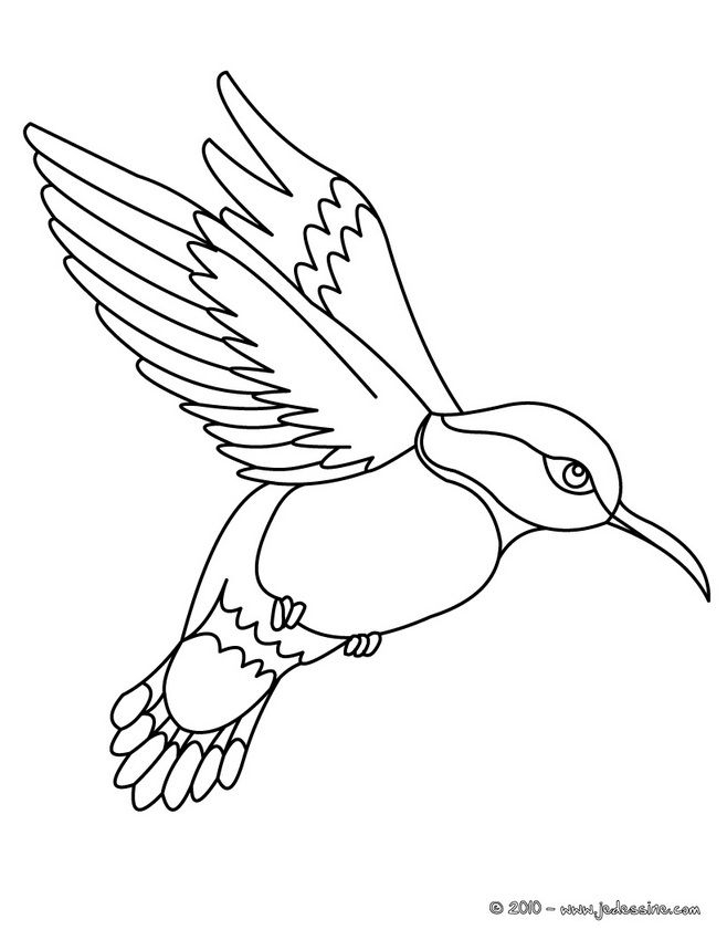 Coloriage Toucan | Oiseau Coloriage, Oiseaux À Colorier intérieur Oiseau À Colorier