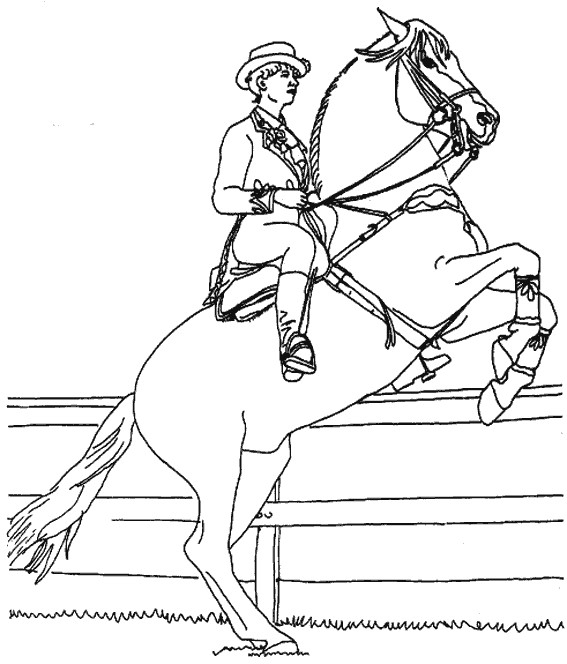 Coloriage Un Cheval Tout En Sautant Dessin Gratuit À Imprimer dedans Coloriage De Cheval Qui Saute Un Obstacle À Imprimer