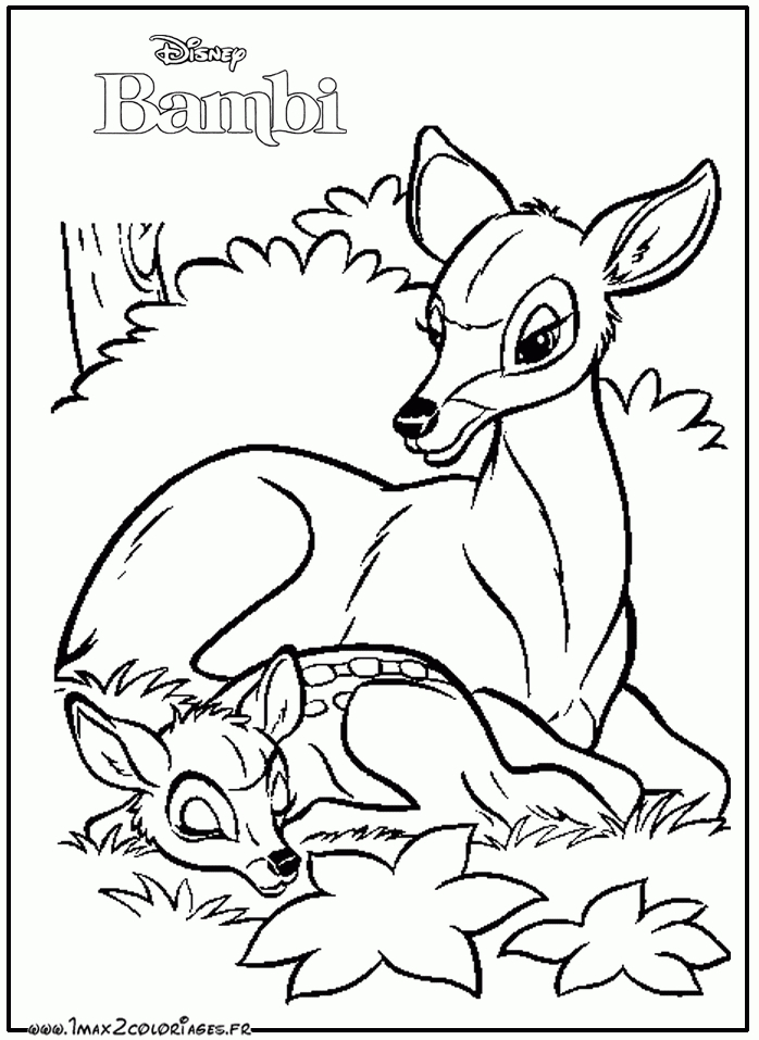 Coloriages Bambi De Walt Disney – Bambi Contre Sa Maman A pour Coloriage Chaton Et Sa Maman