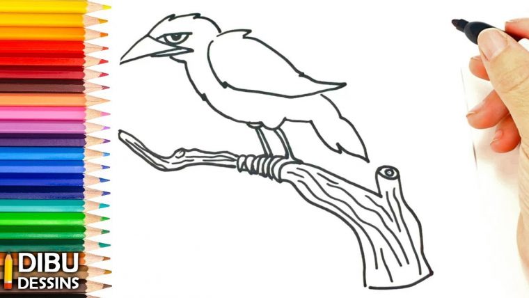 Comment Dessiner Un Corbeau | Dessin De Corbeau – intérieur Coloriage Corbeau