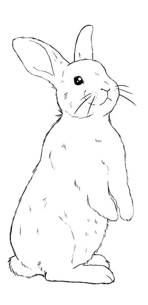 Comment Dessiner Un Lapin | Dessin Lapin, Comment Dessiner intérieur Dessiner Un Corbeau Facile