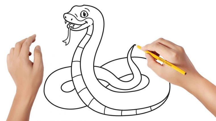 Comment Dessiner Un Serpent – encequiconcerne Comment Dessiner Un Malinois