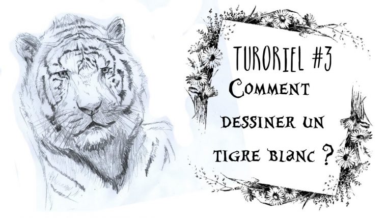 Comment Dessiner Un Tigre Blanc ? – E.njell Art – encequiconcerne Dessiner Tigre Facile