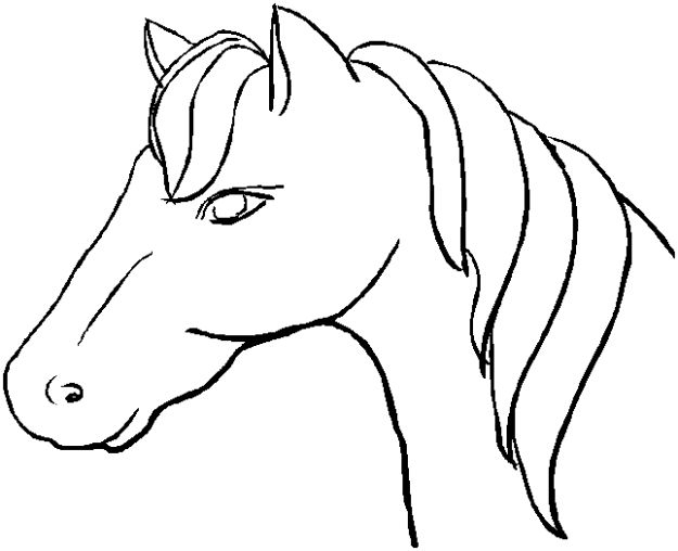 Cool 13 Dessin Tête De Cheval Facile En 2020 | Coloriage à Coloriage De Cheval