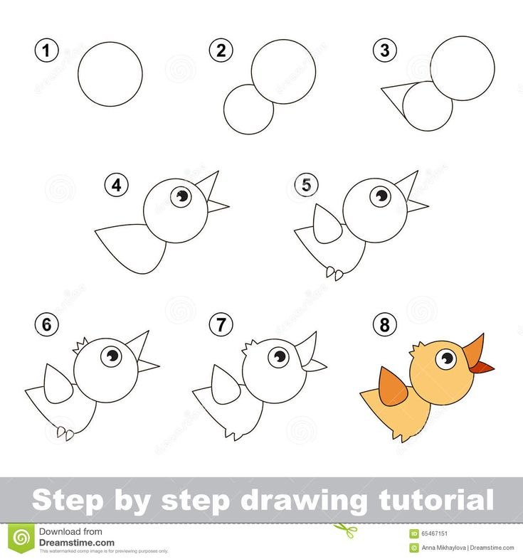 Cours De Dessin Comment Dessiner Un Oiseau – Télécharger destiné Comment Dessiner Un Malinois