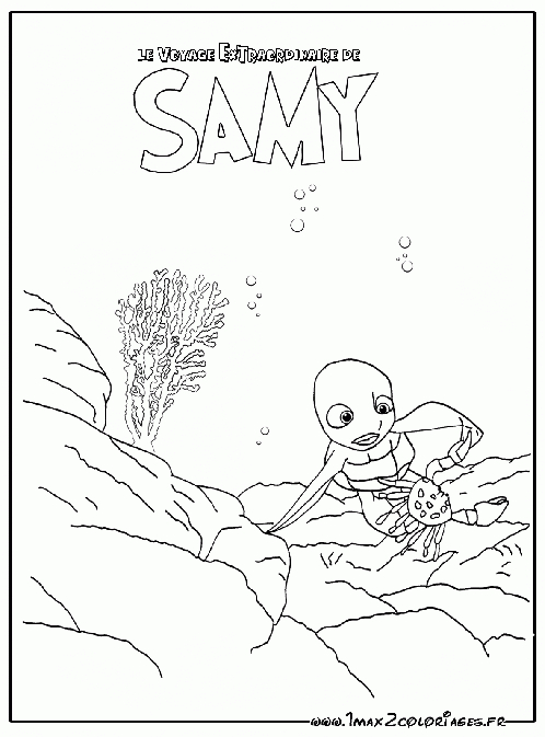 Desenhos Da Samy, A Tartaruga, Para Colorir – Desenhos encequiconcerne Coloriage Samy La Tortue