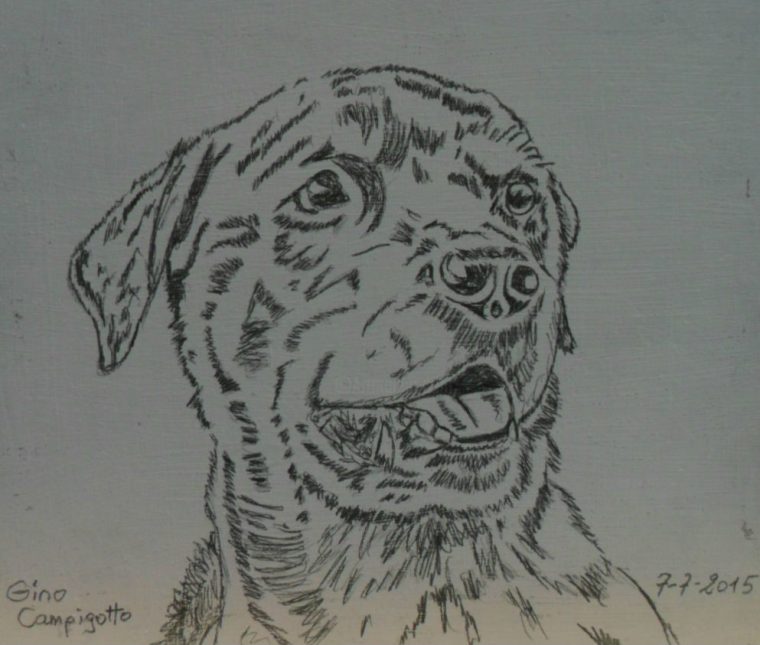 Dessin Aux Crayons De La Tête D'Un Chien N° 65 Dessin Par encequiconcerne Tete De Chien Dessin