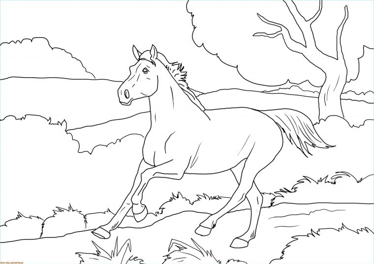 Dessin De Cheval Au Galop Inspirant Image Coloriage Cheval tout Coloriage Grand Galop