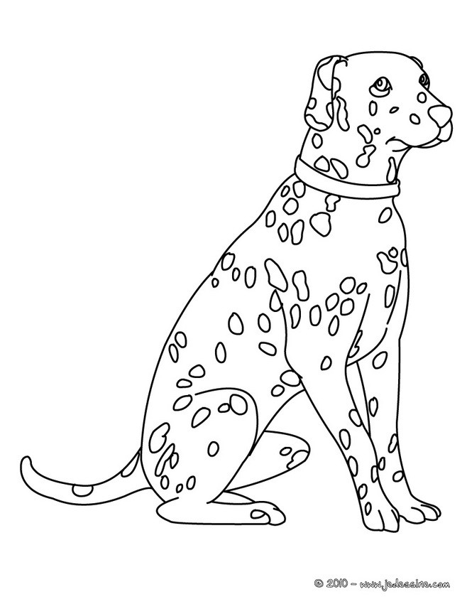 Dessin De Chien Dalmatien Facile – Les Dessins Et Coloriage dedans Dessin Chien Assis Facile