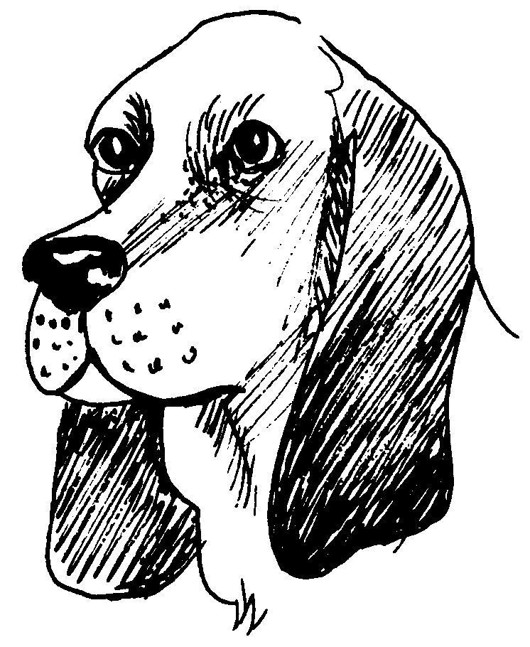 Dessin De Tete De Chien – Greatestcoloringbook intérieur Tete De Chien Dessin