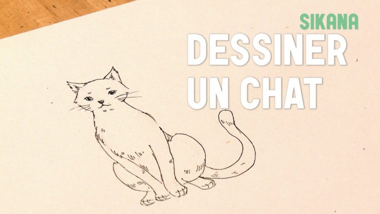 Dessin : Dessiner Un Chat – pour Comment Dessiner Un Malinois