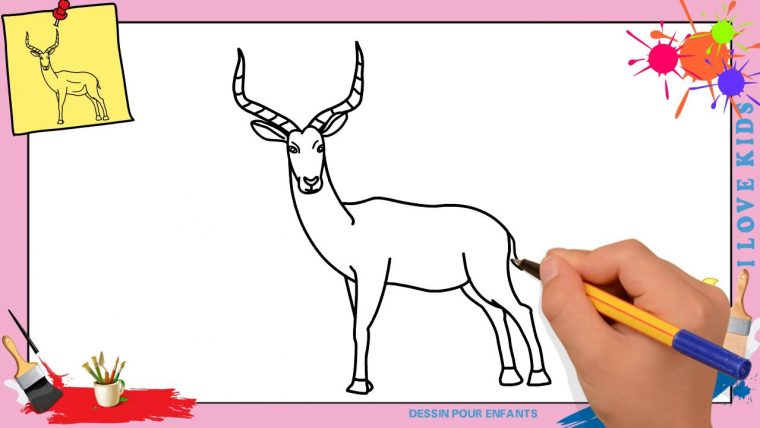 Dessin Gazelle 2 Facile – Comment Dessiner Une Gazelle pour Comment Dessiner Un Avion Facilement