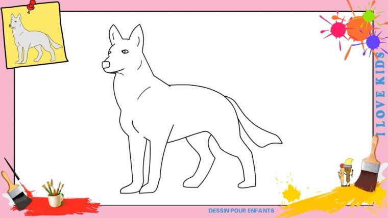 Dessin Loup – Comment Dessiner Un Loup Facilement Etape tout Comment Dessiner Un Malinois