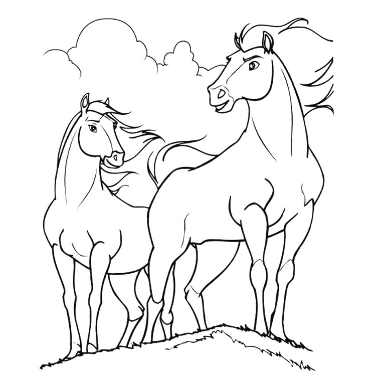 Dessin Poulain Nouveau Photos 119 Dessins De Coloriage tout Coloriage De Cheval A Imprimer