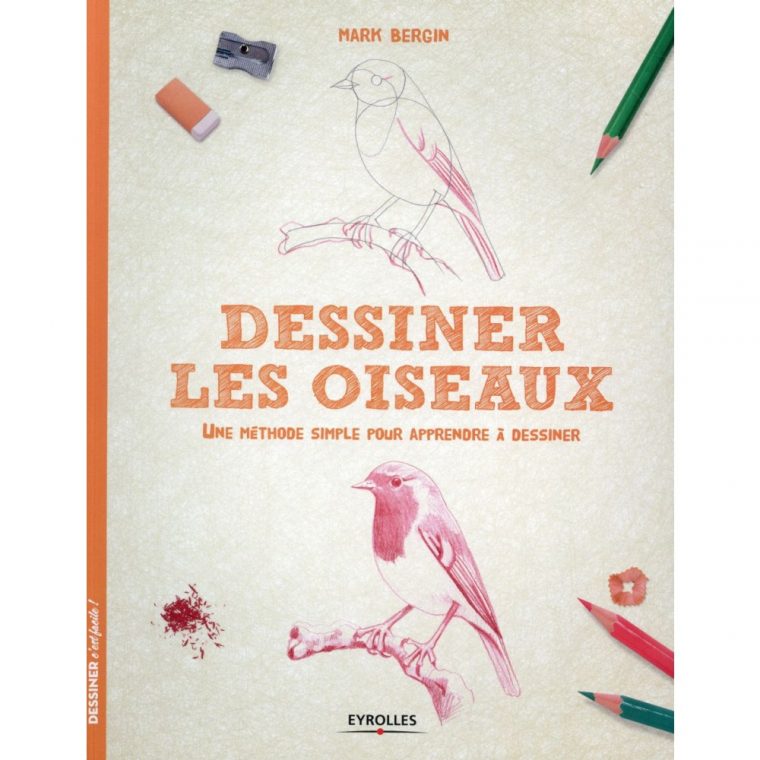 Dessiner Les Oiseaux – Une Méthode Simple Pour Apprendre À tout Apprendre A Dessiner