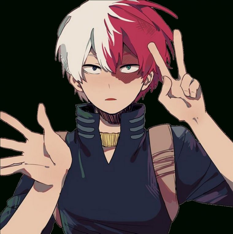 Download Todoroki Shoto Shouto Todorokishouto avec Dessin My Hero Academia Shouto