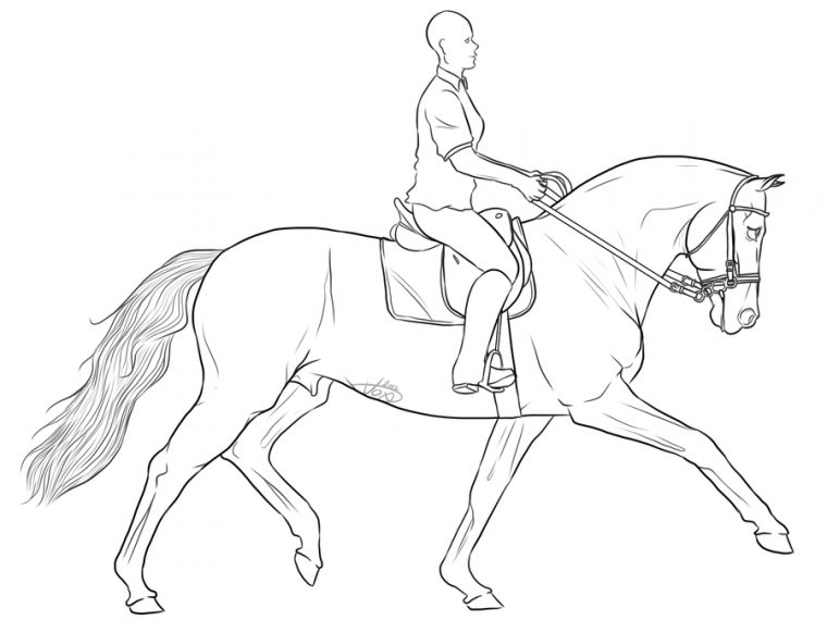 Dressage Horse Drawing At Getdrawings | Free Download concernant Coloriage Cheval Dressage