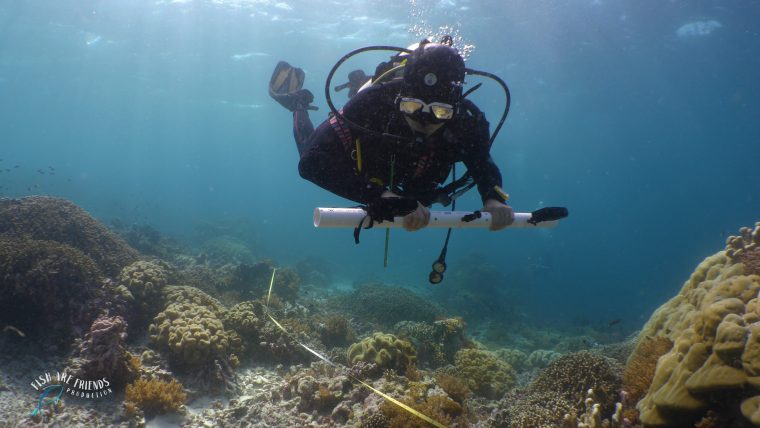 Elysiumtrip – Unterwegs Für Den Meeresschutz – Fish Are serapportantà Wie Funktioniert Die Schwimmblase Bei Fischen