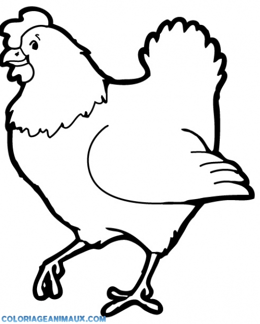 🎨Coloriage Poule Qui Court À Imprimer dedans Dessin De Poule Facile