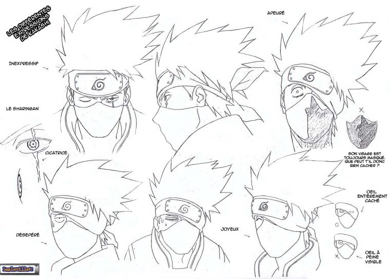 👍 Comment Dessiner Kakashi Facilement avec Comment Dessiner Un Malinois